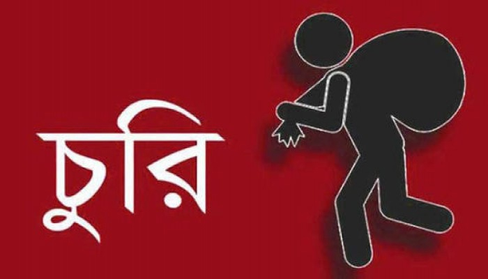 নগরীর বাদাম বাগিচায় বাসায় ঢুকে ৮টি মোবাইল চুরি, থানায় জিডি